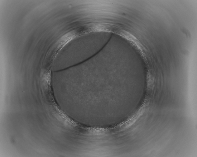 X0000112060785200908181157