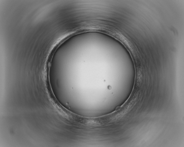 X0000112060787200908181157