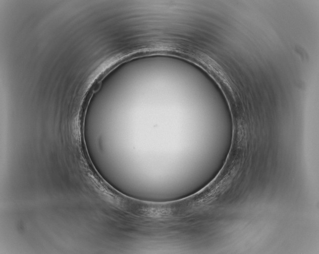 X0000112060789200908181157