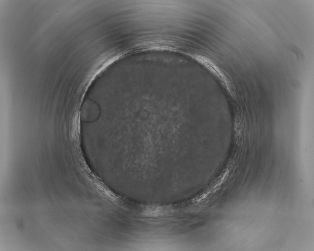 X0000112060790200908181157