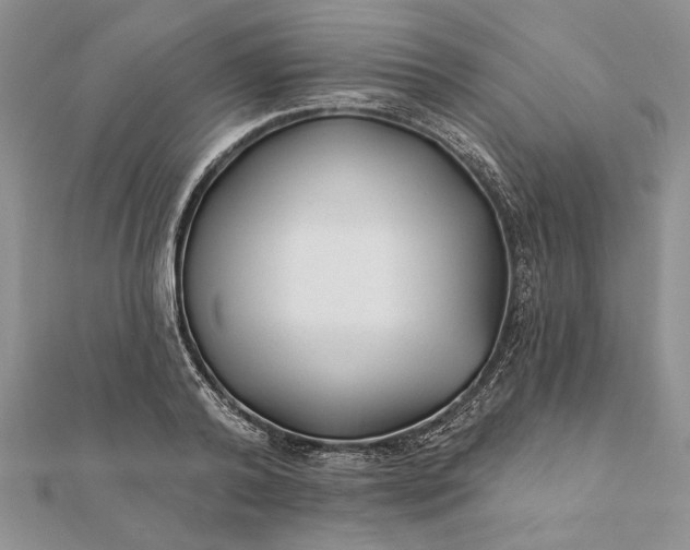 X0000112060792200908181157