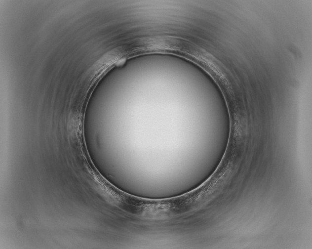 X0000112060793200908181157