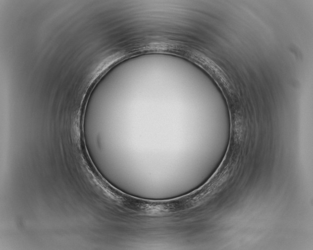 X0000112060794200908181157