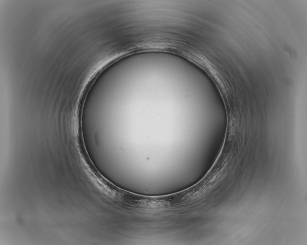 X0000112060795200908181157