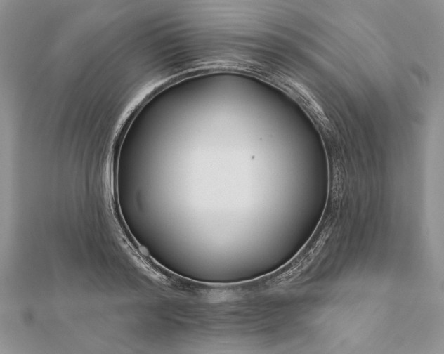 X0000112060796200908181157