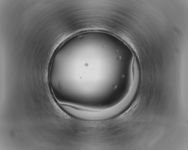 X0000112060797200908181157