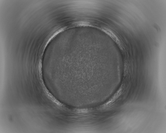 X0000112060798200908181157