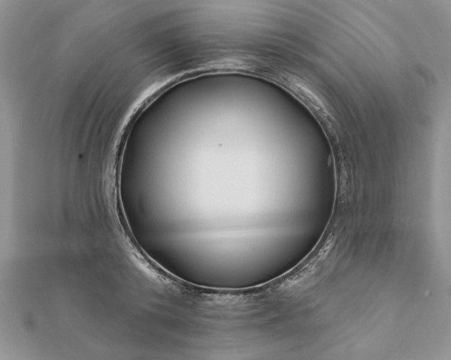 X0000112060800200908181157