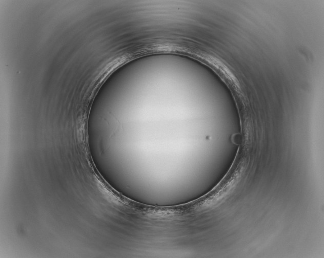 X0000112060801200908181157