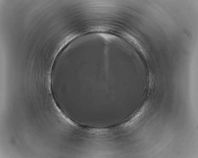 X0000112060802200908181157