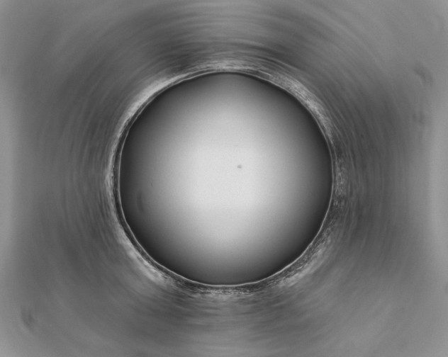 X0000112060803200908181157