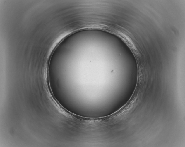 X0000112060804200908181156