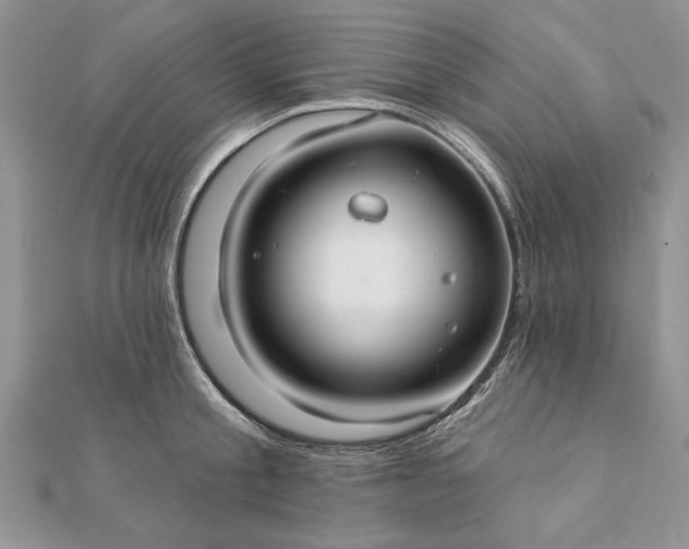 X0000112060805200908181156