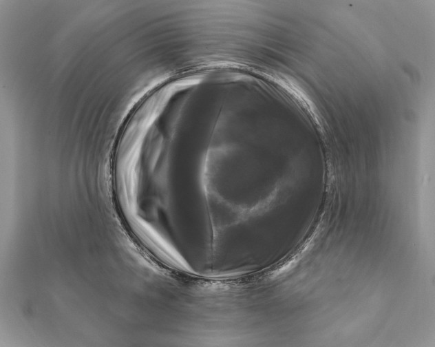 X0000112060806200908181156