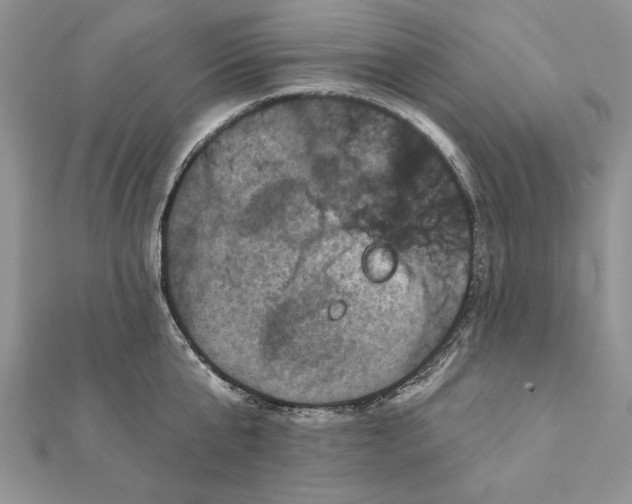 X0000112060807200908181156