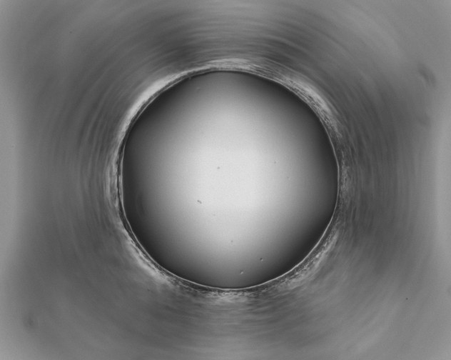 X0000112060808200908181156