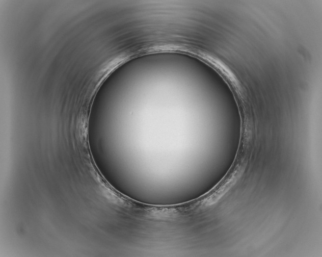 X0000112060809200908181156