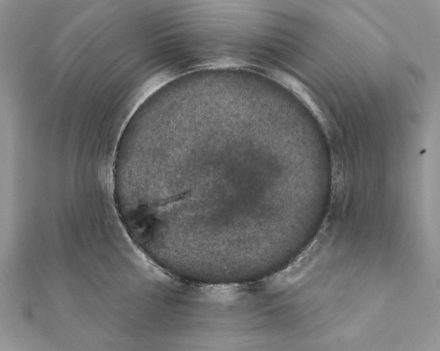 X0000112060810200908181156