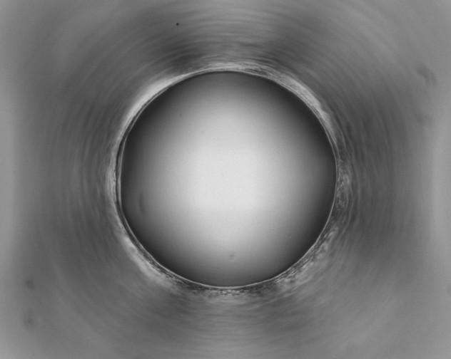 X0000112060811200908181156