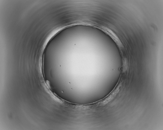 X0000112060812200908181156