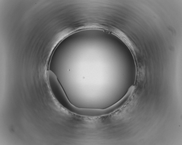 X0000112060813200908181156