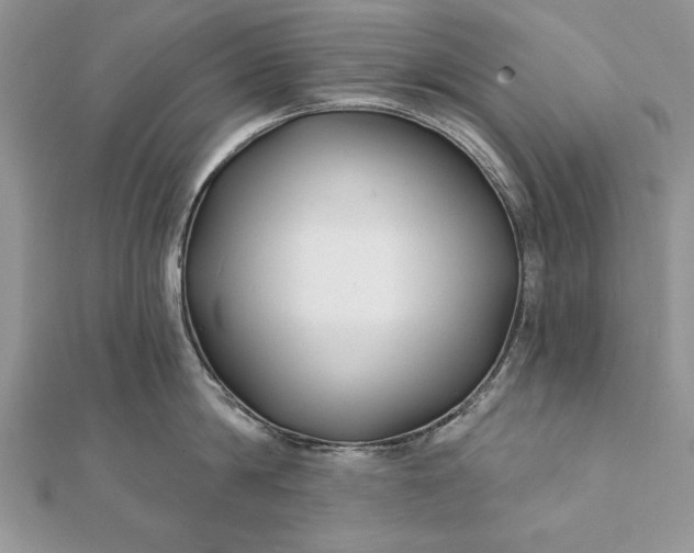 X0000112060814200908181156