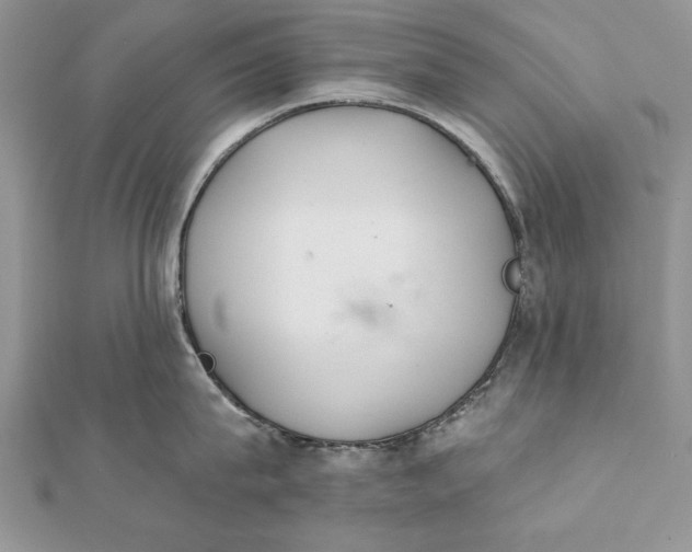 X0000112060815200908181156