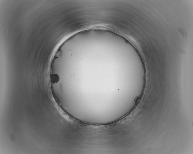 X0000112060816200908181156