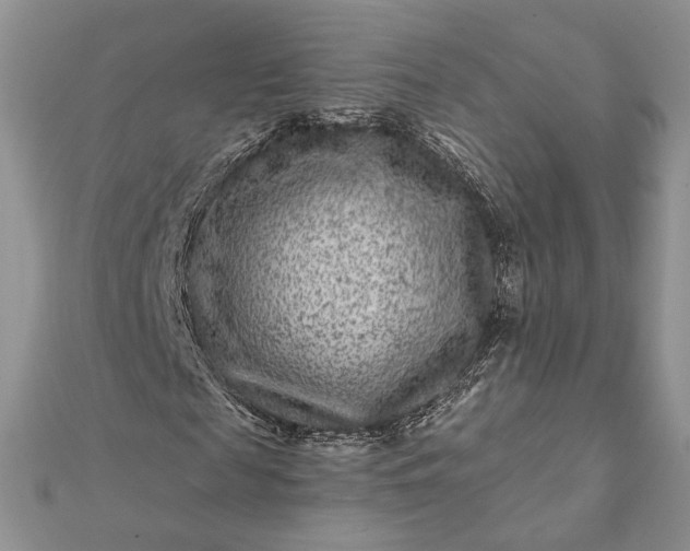 X0000112060817200908181156