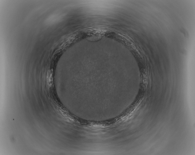 X0000112060818200908181156