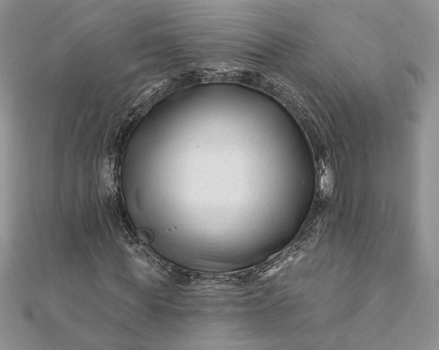 X0000112060819200908181156