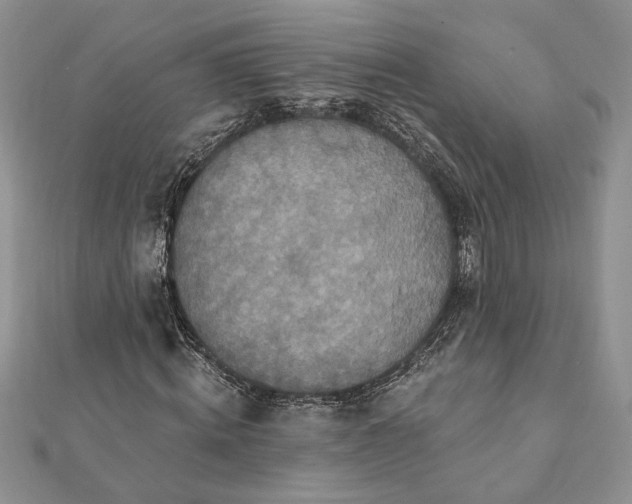 X0000112060820200908181156