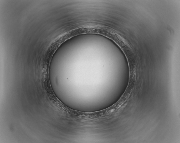 X0000112060821200908181156