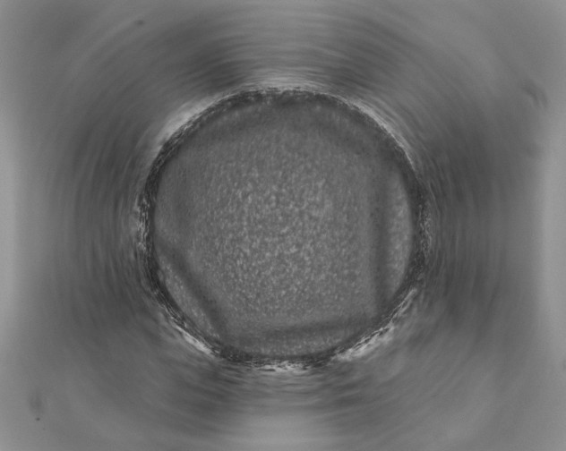 X0000112060823200908181156