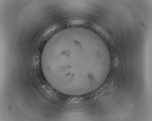 X0000112060824200908181156