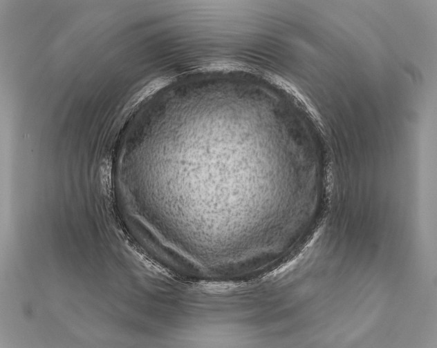 X0000112060825200908181156