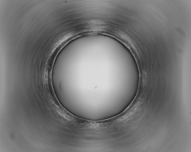 X0000112060827200908181156