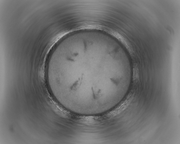 X0000112060828200908181156