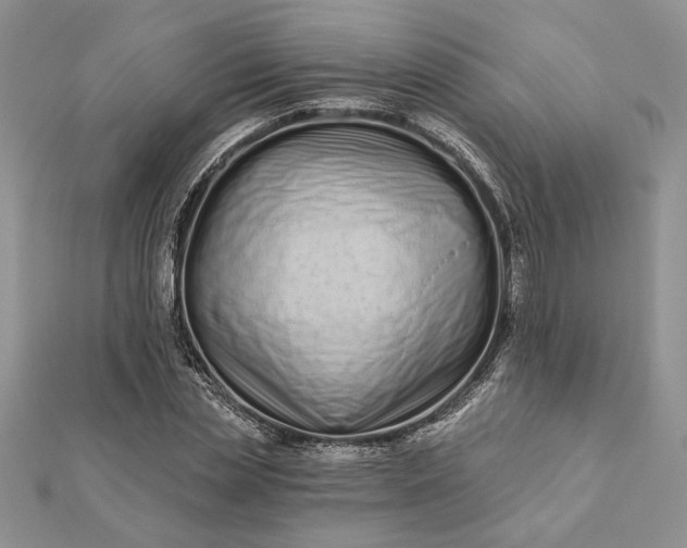 X0000112060829200908181156