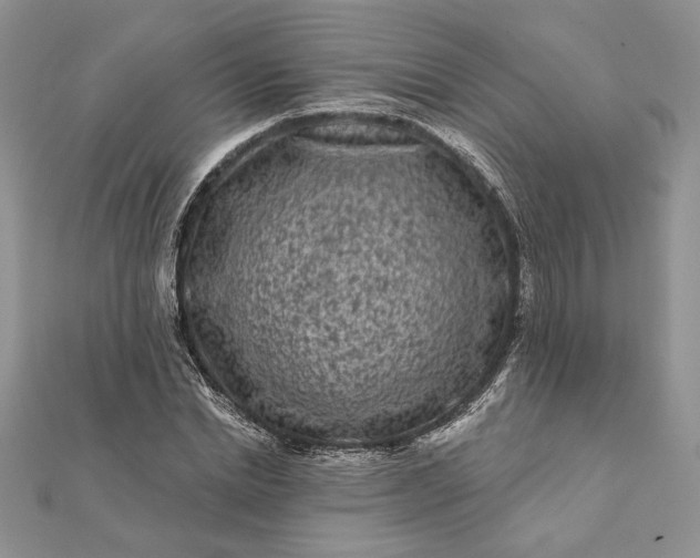 X0000112060830200908181156