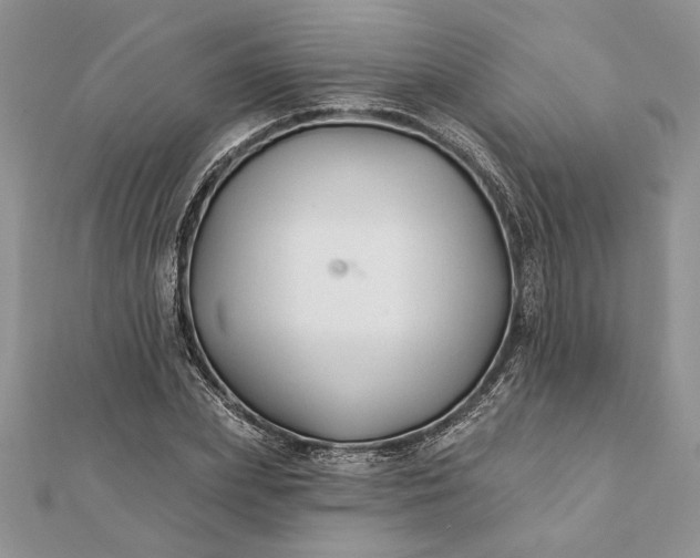 X0000112060831200908181156