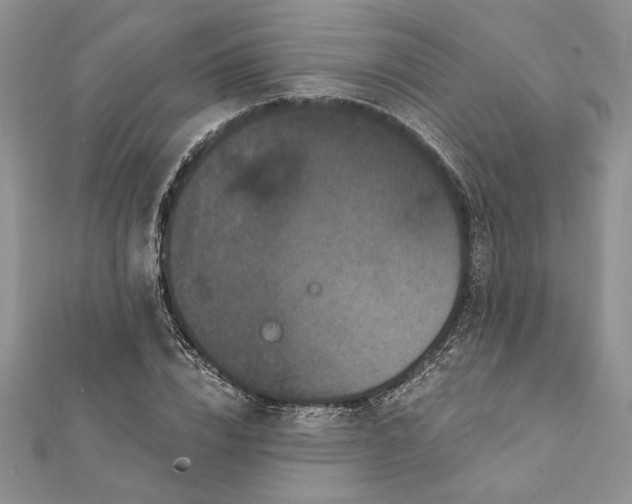 X0000112060832200908181156