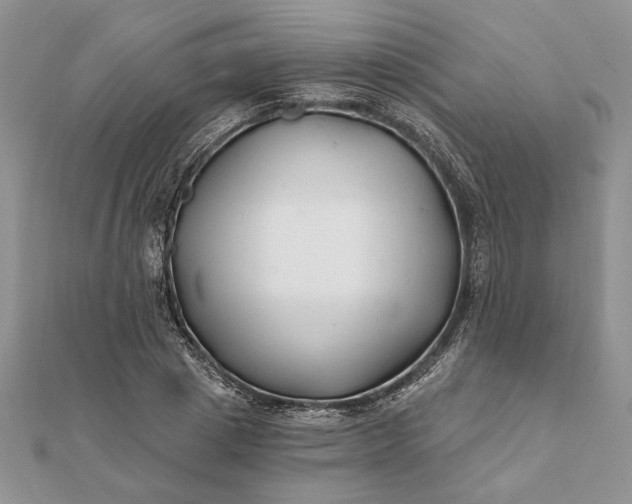 X0000112060833200908181156