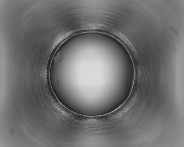 X0000112060834200908181156