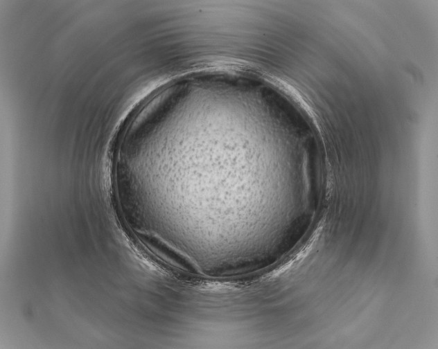 X0000112060835200908181156