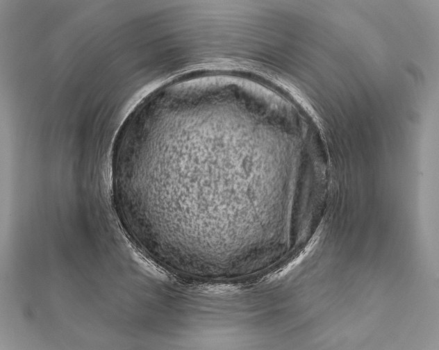 X0000112060837200908181156