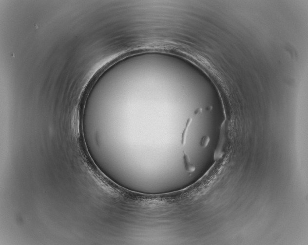 X0000112060838200908181156