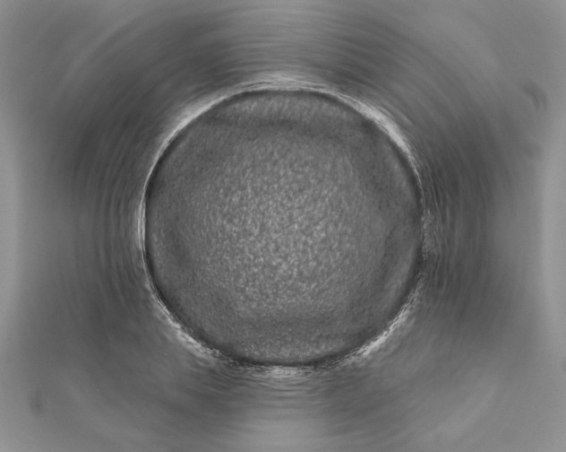 X0000112060839200908181156