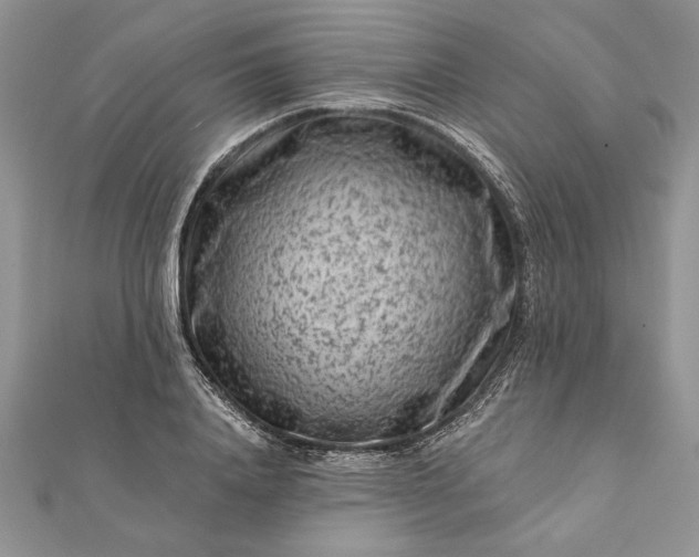 X0000112060840200908181156