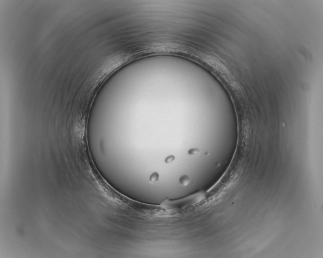 X0000112060841200908181156